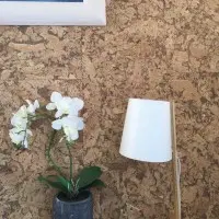 Cork Wall Tile