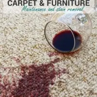 Carpet stain remover